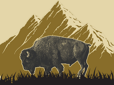 Bison