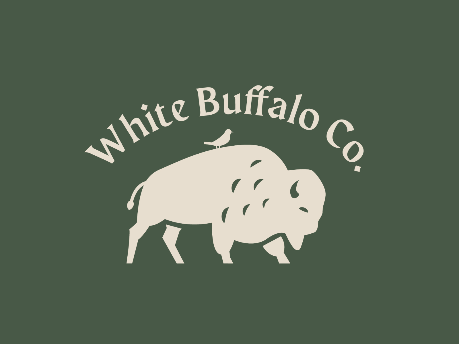 white buffalo by slwt on Dribbble