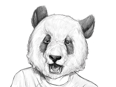 Panda Study