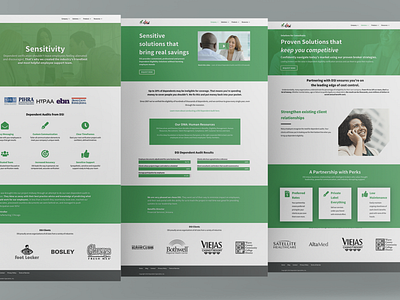 DSI Website Redesign design digital marketing marketing ui web design web designer website wordpress wordpress design