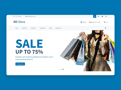 Ecommerce Header Page