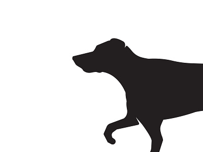 Wellesley black dog lab labrador puppy retriever silhouette