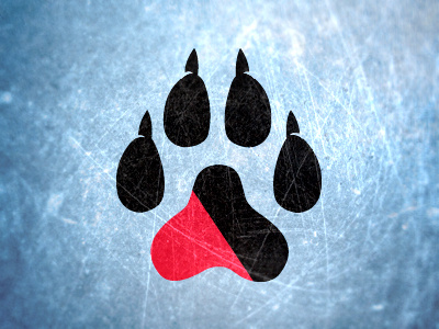 NU Split Paw degree project huskies northeastern paw split paw