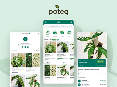 Poteq - For plantusiasm to discuss, buy & sell plant application apps auction bidding bids branding card design green home interface leaf logo marketplace mobile mobile app nursery plant shop ux