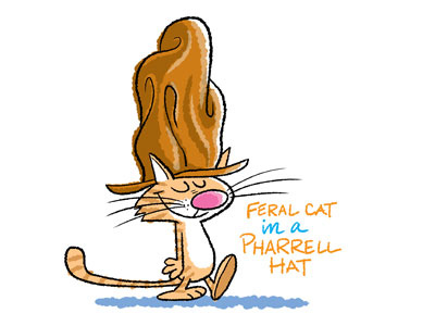 Feral Cat in a Pharrell Hat cat childrens art humor illustration pharrell pharrell hat