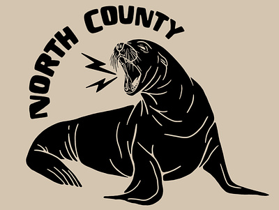 North County San Diego california illustration san diego sea lion seal wildlife