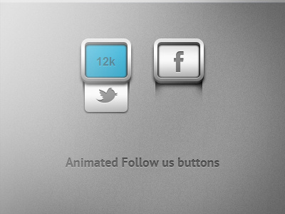 Follow Us CSS animated buttons buttons social