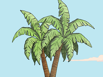 Palmtrees