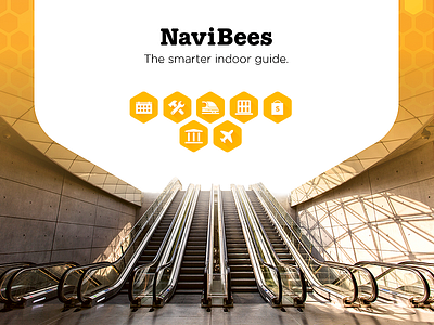 NaviBees