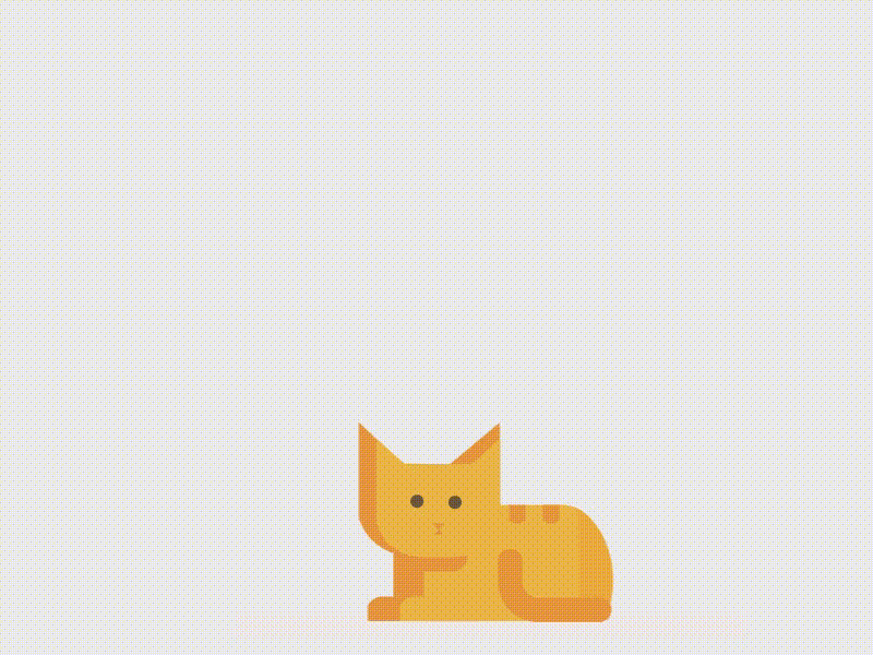 Wifi Cat animation cat creative design git illustration infographic motion graphics ui vector visual
