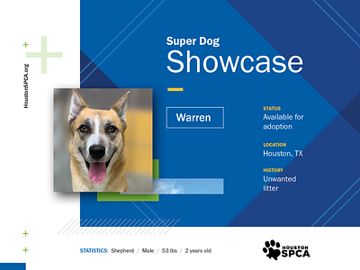 Super Dog Showcase