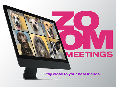 ZOOM Meetings Mock Ad advertisement art direction brand branding campaign design graphic design identity zoom