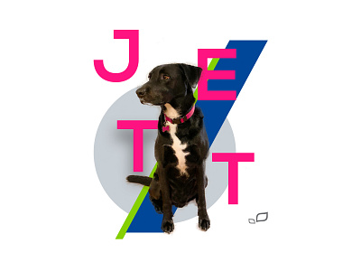 Jett Poster art direction brand branding design graphic design identity identitydesign poster