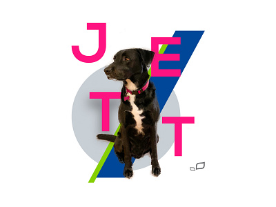 Jett Poster