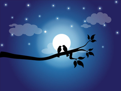 Night Star 2d design illustration unique vector