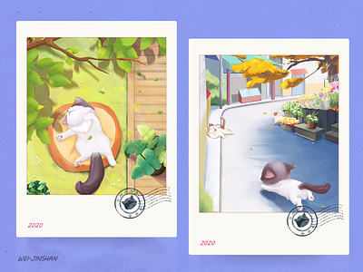 Meow~ ① illustration 动物 插图 数字2d 模特运动 猫 设计