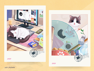 Meow~② 动物 品牌 插图 数字2d 模特运动 猫 设计