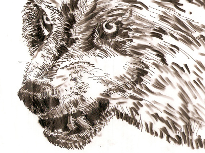Wolf art last works sketch