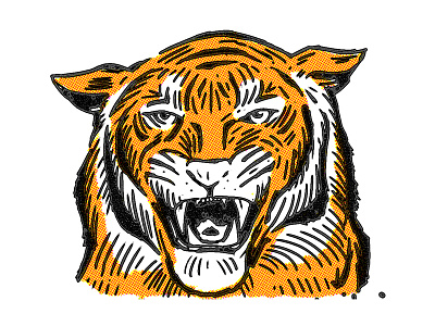 Go get 'em tiger illustration tiger wacom