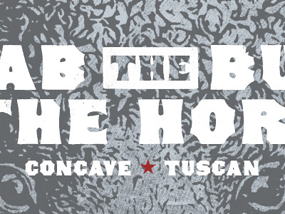 Concave Tuscan concave tuscan new font wood type revival