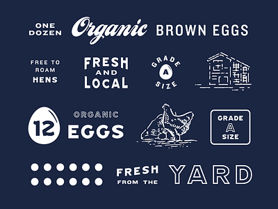 Egg Carton Assets carton chicken concepts egg eleven farm logo
