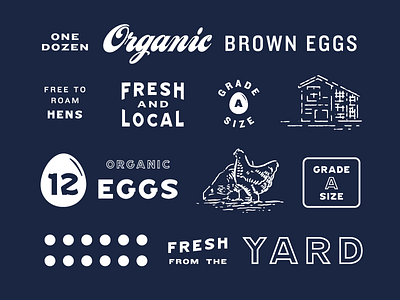 Egg Carton Assets