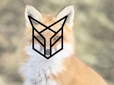 Foxline Logo animallogo animalmark brand branding design fox foxlogo graphic design icon identity illustration logo logo design logodesigner logomaker logotype ui ux vector wildanimal