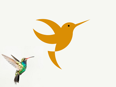 Humming Bird Logo