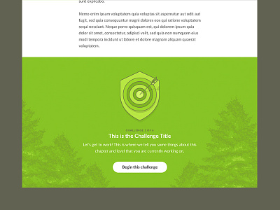 Challenge Footer button challenge illustration interface target task ui web