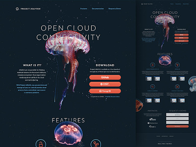 Project Jellyfish gradients imagery marketing parallax photography shadows site ui web