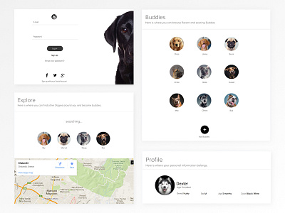 Dogies Dashboard app clean dashboard dog dogies dogs minimal product raff hbb ui ux web webapp white