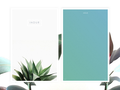 INDUR Magazine Concept article clean design green indur magazine minimal plants raff hbb web white