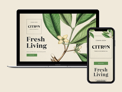 Citron Towns design ui ux web website website design websitedesigner