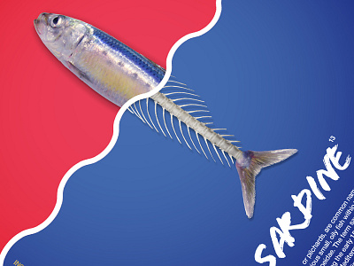 Sardine creative design fish giovedì graphic poster random sardine thursday words