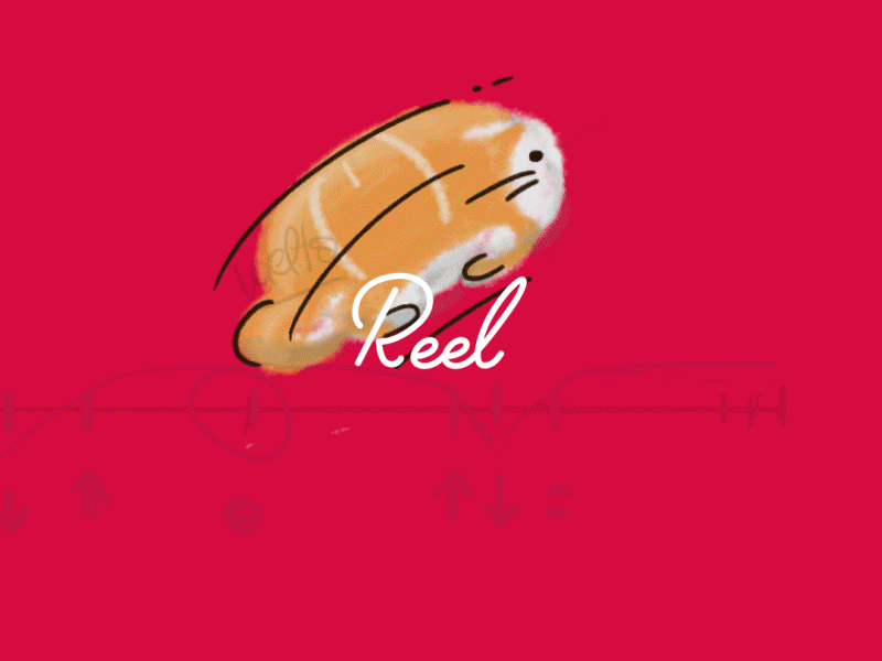 (ﾉ◕ヮ◕)ﾉ*:･ﾟ✧ Animation Reel 2016 \ (•◡•) / afterffects animacion animation character design illustrator music personal photoshop reel tipography works
