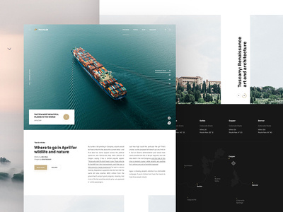 Traveler landing traveler traveling ui web webdesign webpage website