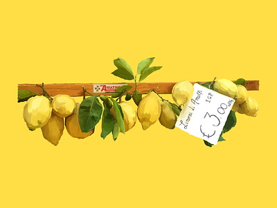 Limoni di Amalfi design illustration