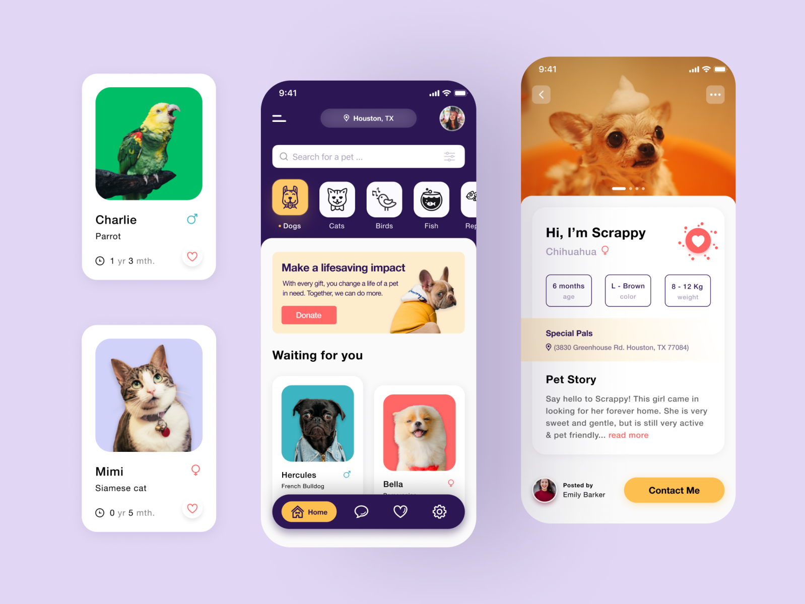 Pet Adoption App Ui Design 🐶🐱 by Edward Ruiz on Dribbble