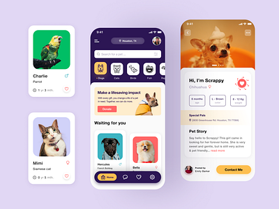 Pet Adoption App Ui Design 🐶🐱 adoption app design ios mobile pet product design ui uidesign uiux ux uxdesign visual