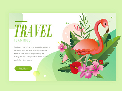 Flamingo Illustration design illustration