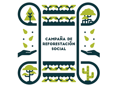 Social Reforestation Campaign campaign ecosystem forest government graphic design illustration plants vector