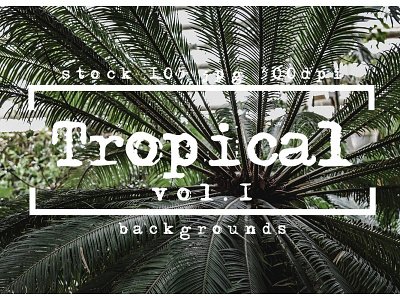 Tropical photo textures photoshop backgrounds