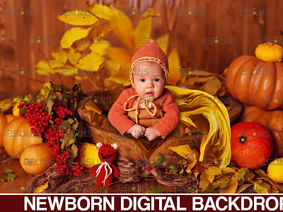 Newborn backdrop & Baby autumn backdrop