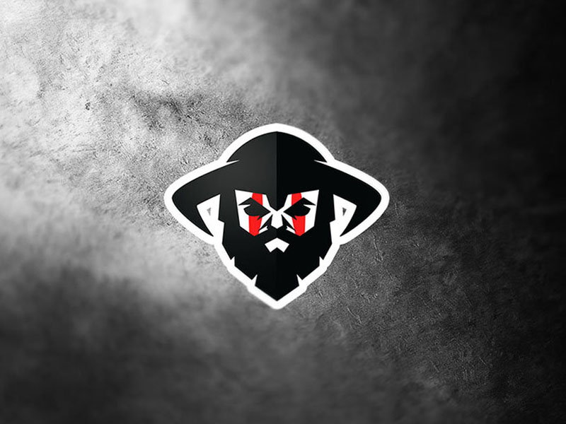 Viking helmet horns beard dusan klepic logo fury barbarian berserker fighter warrior viking