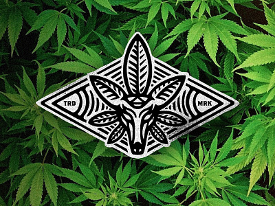 Magic Doe Hemp Logo branding cannabis deer doe dusan klepic health hemp leaf logo magic magical medical oil stag vintage vintage badge