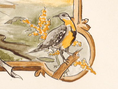 Western Meadowlark bird nebraska watercolor