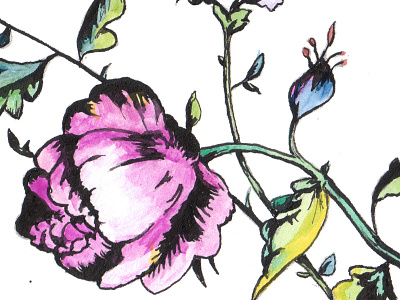 Flowers flower ink peony watercolor