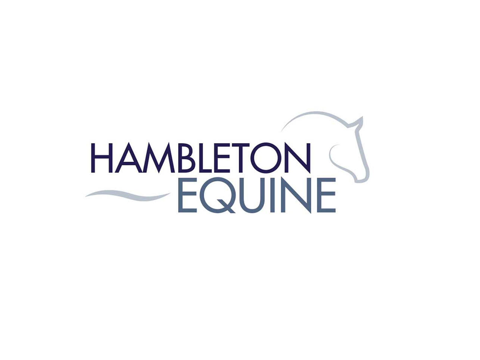 Hambleton Equine logo by Paul Dobson on Dribbble