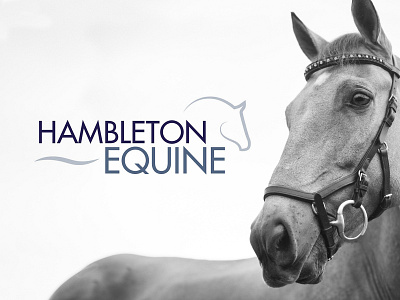 Hambleton Equine logo animal animal logo equine horse horse logo horse racing surgery vet vetinary