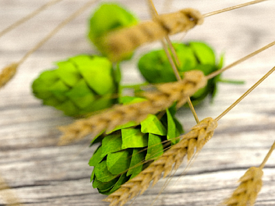 Hops and wheat 3d render 3dmodelling 3drendering beer cinema4d cinema4dart craft beer graphic design redshift redshift3d